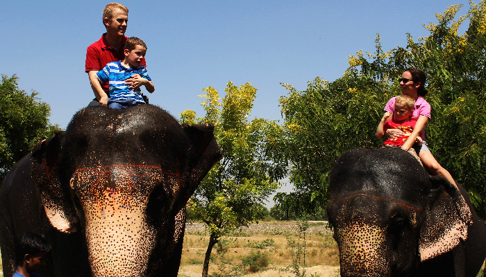 Elephant Riding